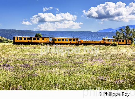 LE TRAIN JAUNE,   CERDAGNE, ROUSSILLON, CATALOGNE, PYRENEES ORIENTALES. (66F01915.jpg)