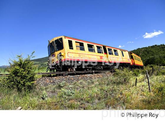 LE TRAIN JAUNE,   CERDAGNE, ROUSSILLON, CATALOGNE, PYRENEES ORIENTALES. (66F01916.jpg)