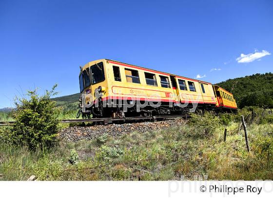 LE TRAIN JAUNE,   CERDAGNE, ROUSSILLON, CATALOGNE, PYRENEES ORIENTALES. (66F01916.jpg)