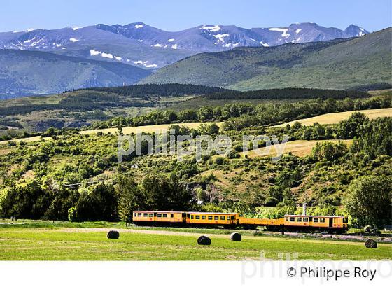 LE TRAIN JAUNE,   CERDAGNE, ROUSSILLON, CATALOGNE, PYRENEES ORIENTALES. (66F01919.jpg)