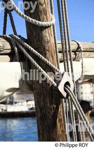 BARQUE CATALANE, PORT DE  BANYULS-SUR-MER,  COTE VERMEILLE, ROUSSILLON, CATALOGNE. (66F02132.jpg)