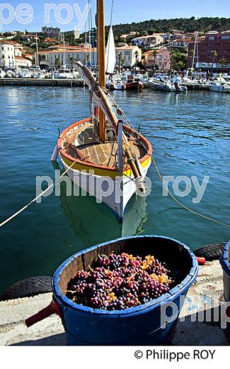 FETE  DES VENDANGES, VILLE DE  BANYULS-SUR-MER,  COTE VERMEILLE, ROUSSILLON, CATALOGNE. (66F02138.jpg)