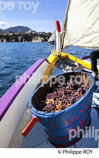 BARQUE CATALANE, FETE DES VENDANGES, VILLE DE  BANYULS-SUR-MER,  COTE VERMEILLE, ROUSSILLON, CATALOGNE. (66F02218.jpg)