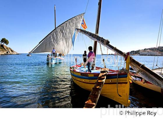 BARQUE CATALANE, FETE DES VENDANGES, VILLE DE  BANYULS-SUR-MER,  COTE VERMEILLE, ROUSSILLON, CATALOGNE. (66F02322.jpg)