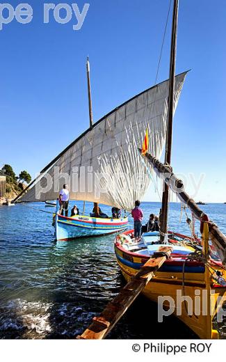 BARQUE CATALANE, FETE DES VENDANGES, VILLE DE  BANYULS-SUR-MER,  COTE VERMEILLE, ROUSSILLON, CATALOGNE. (66F02323.jpg)