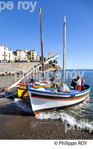 BARQUE CATALANE, FETE DES VENDANGES, VILLE DE  BANYULS-SUR-MER,  COTE VERMEILLE, ROUSSILLON, CATALOGNE. (66F02325.jpg)