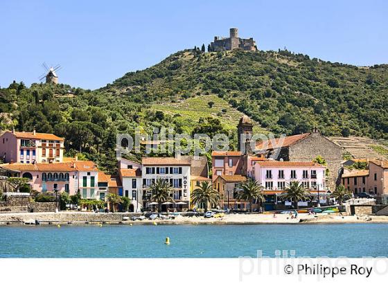 LE VILLAGE FORTIFIE  DE COLLIOURE,  ET LA COTE VERMEILLE, ROUSSILLON, CATALOGNE. (66F02904.jpg)