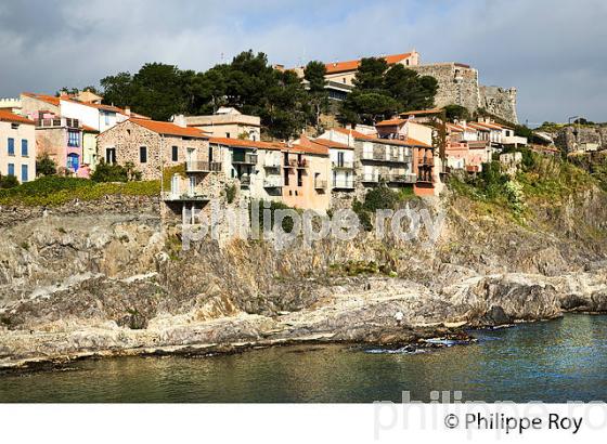 LE VILLAGE FORTIFIE  DE COLLIOURE,  ET LA COTE VERMEILLE, ROUSSILLON, CATALOGNE. (66F02906.jpg)