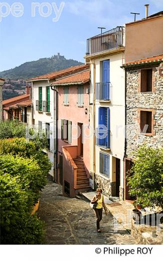LE VILLAGE FORTIFIE  DE COLLIOURE,   COTE VERMEILLE, ROUSSILLON, CATALOGNE. (66F02911.jpg)