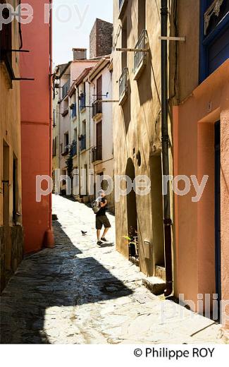 LE VILLAGE FORTIFIE  DE COLLIOURE,   COTE VERMEILLE, ROUSSILLON, CATALOGNE. (66F02918.jpg)