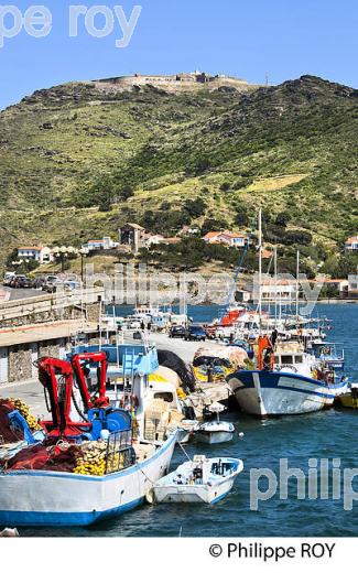 LE PORT DE PECHE,  VILLE DE PORT VENDRES,   COTE VERMEILLE, ROUSSILLON, CATALOGNE. (66F03016.jpg)