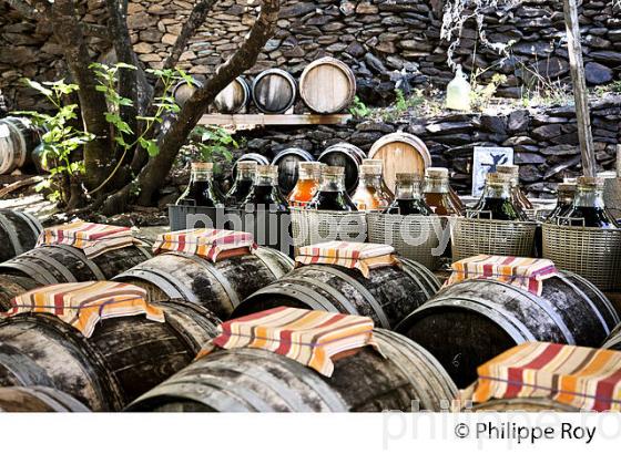 LA GUINELLE, VINAIGRE DE BANYULS,  COMMUNE DE  PORT VENDRES , COTE VERMEILLE, ROUSSILLON, CATALOGNE. (66F03127.jpg)