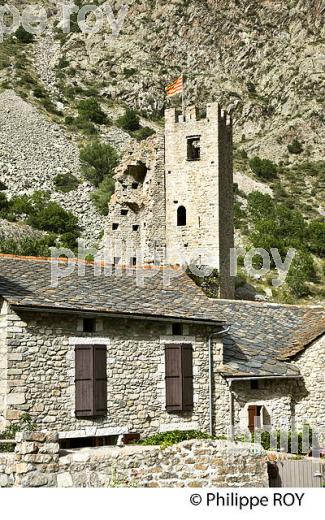 CHATEAU DE CAROL, COMMUNE DE PORTA, CERDAGNE. (66F03225.jpg)