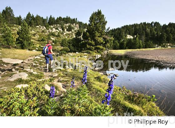 LAC VIVER, LES ETANGS  DU  MASSIF DU CARLIT,  CERDAGNE, ROUSSILLON. (66F03238.jpg)