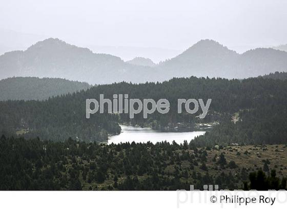 LAC LLAT,  LES ETANGS DU  MASSIF DU CARLIT,  CERDAGNE, ROUSSILLON. (66F03309.jpg)