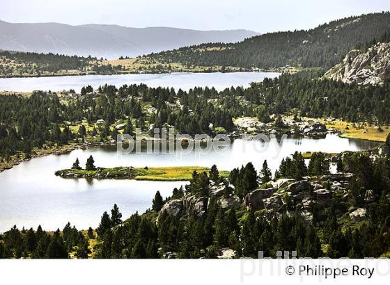 LAC LONG, LAC  LLAT,  LES ETANGS DU  MASSIF DU CARLIT,  CERDAGNE, ROUSSILLON. (66F03337.jpg)