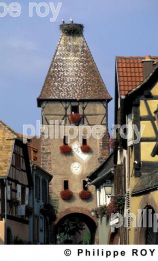 L'Alsace (68F00102.jpg)