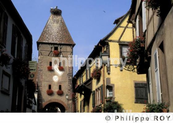 L'Alsace (68F00103.jpg)