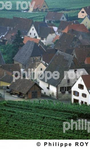 L'Alsace (68F00115.jpg)
