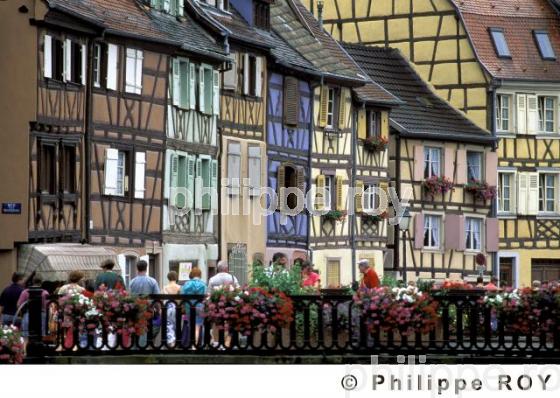 L'Alsace (68F00118.jpg)