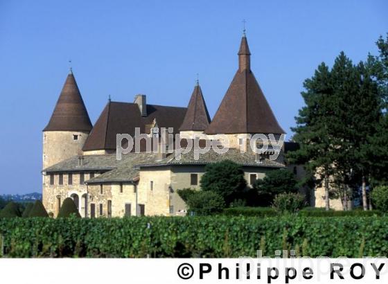 Le vignoble du Beaujolais (69V00136.jpg)