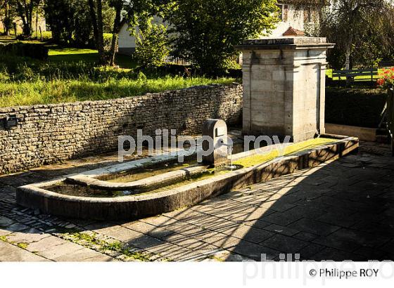 FONTAINE LAVOIR, VALLEE DE L'OGNON, HAUTE-SAONE, FRANCE (70F00231.jpg)