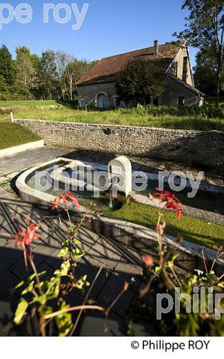 FONTAINE LAVOIR, VALLEE DE L'OGNON, HAUTE-SAONE, FRANCE (70F00235.jpg)