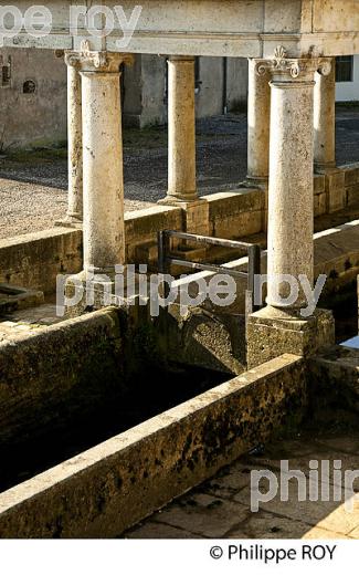 FONTAINE LAVOIR, VALLEE DE L'OGNON, HAUTE-SAONE, FRANCE (70F00309.jpg)