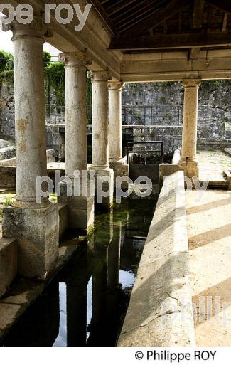 FONTAINE LAVOIR, VALLEE DE L'OGNON, HAUTE-SAONE, FRANCE (70F00310.jpg)