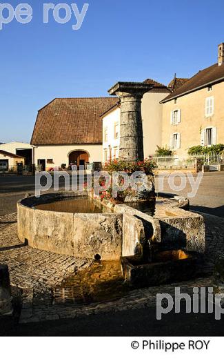 FONTAINE LAVOIR, VALLEE DE L'OGNON, HAUTE-SAONE, FRANCE (70F00405.jpg)