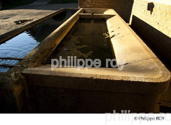 FONTAINE LAVOIR, VALLEE DE L'OGNON, HAUTE-SAONE, FRANCE (70F00414.jpg)