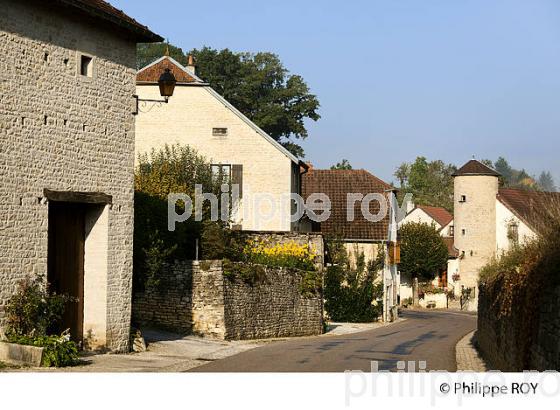 FONDREMAND, VALLEE DE L'OGNON, HAUTE-SAONE, FRANCE (70F00420.jpg)