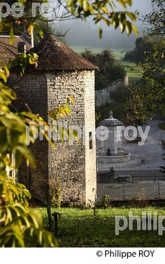 FONDREMAND, VALLEE DE L'OGNON, HAUTE-SAONE, FRANCE (70F00429.jpg)