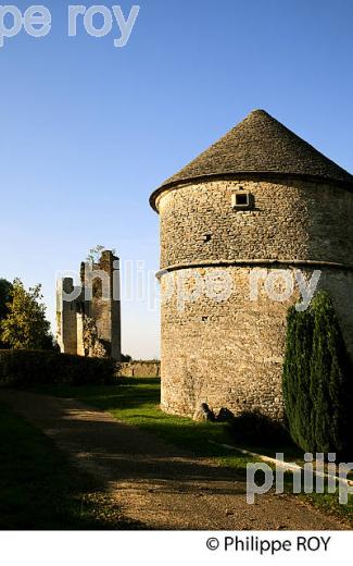 CHATEAU FORT D'ORICOURT, HAUTE-SAONE, FRANCE (70F00617.jpg)