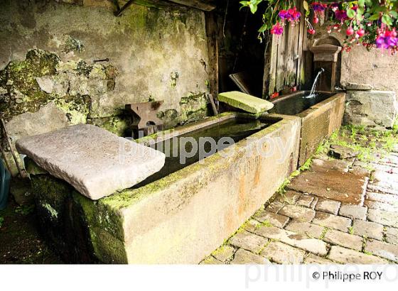 FONTAINE ET LAVOIR, MILLE ETANGS, VOSGES, FRANCE (70F01122.jpg)