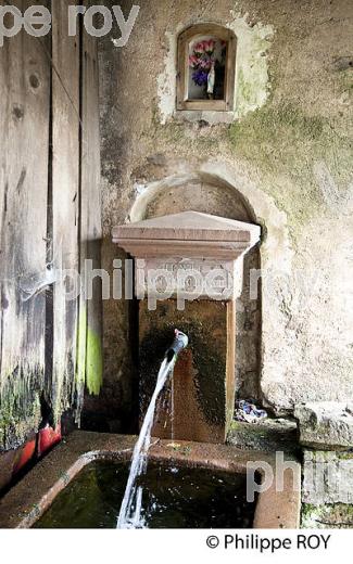 FONTAINE ET LAVOIR, MILLE ETANGS, VOSGES, FRANCE (70F01123.jpg)
