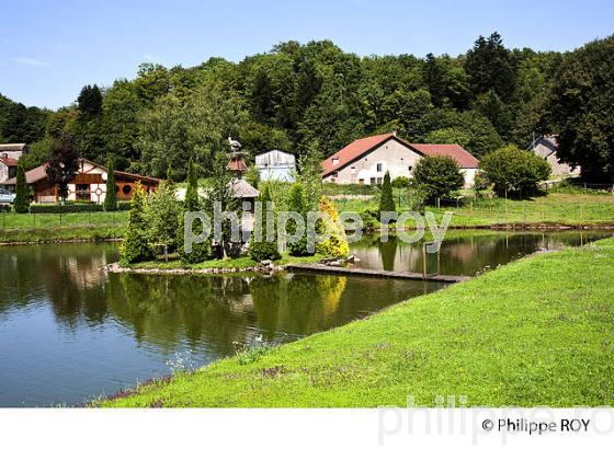 FAUCOGNEY-ET-LA-MER, MILLE ETANGS, VOSGES, FRANCE (70F01126.jpg)