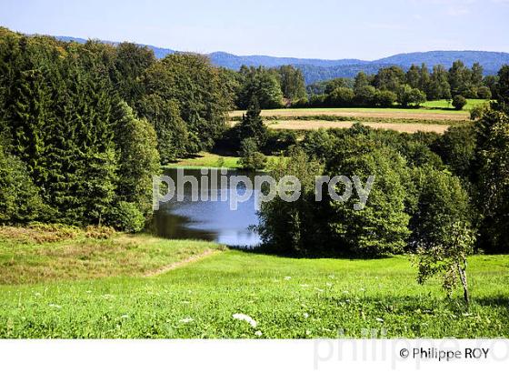 PLATEAU DES MILLE ETANGS, VOSGES, HAUTE-SAONE, FRANCE (70F01137.jpg)