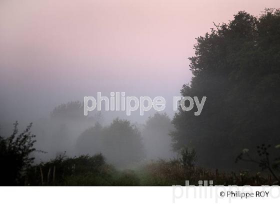 BRUME, PLATEAU DES MILLE ETANGS, VOSGES, FRANCE (70F01230.jpg)