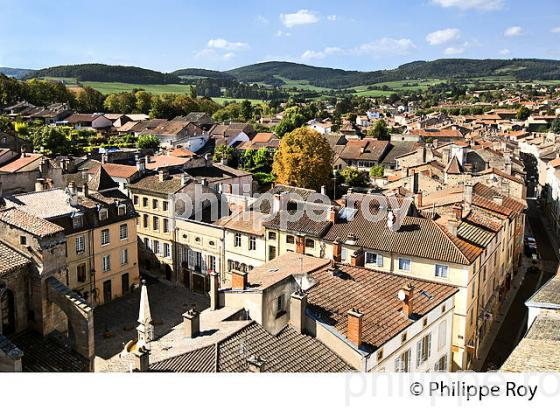 LE VILLAGE  DE CLUNY ET  PAYSAGE DU MACONNAIS, BOURGOGNE. (71F00102.jpg)