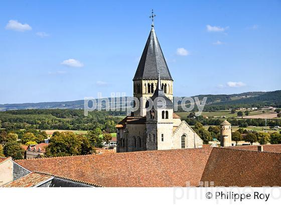 ANCIENNE ABBAYE BENEDICTINE DE CLUNY, ET PAYSAGE DU MACONNAIS,  BOURGOGNE. (71F00111.jpg)