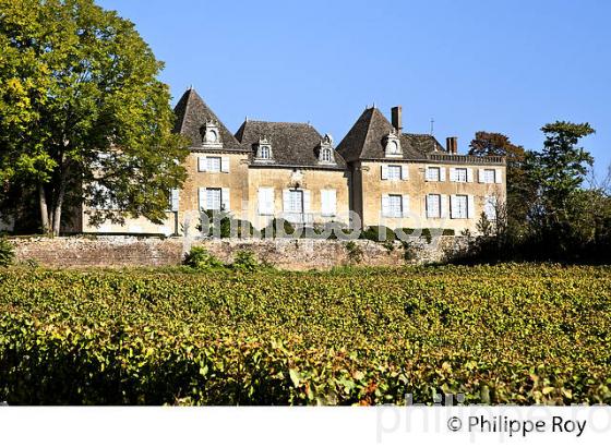 CHATEAU DE MONCEAU, ROUTE LAMARTINE, VILLAGE  DE PRISSE, MACONNAIS, BOURGOGNE. (71F00238.jpg)