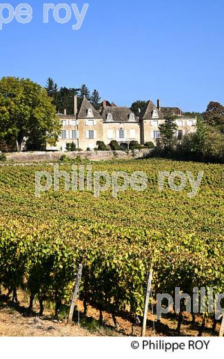 CHATEAU DE MONCEAU, ROUTE LAMARTINE, VILLAGE  DE PRISSE, MACONNAIS, BOURGOGNE. (71F00240.jpg)