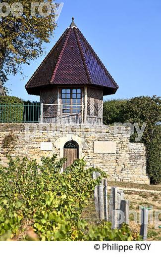 CHATEAU DE MONCEAU, ROUTE LAMARTINE, VILLAGE  DE PRISSE, MACONNAIS, BOURGOGNE. (71F00301.jpg)