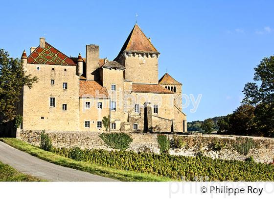 CHATEAU DE PIERRECLOS, ROUTE LAMARTINE,  ET VIGNOBLE DU MACONNAIS, BOURGOGNE. (71F00307.jpg)