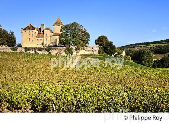 CHATEAU DE PIERRECLOS, ROUTE LAMARTINE,  ET VIGNOBLE DU MACONNAIS, BOURGOGNE. (71F00308.jpg)