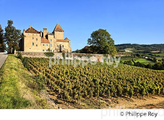 CHATEAU DE PIERRECLOS, ROUTE LAMARTINE,  ET VIGNOBLE DU MACONNAIS, BOURGOGNE. (71F00309.jpg)