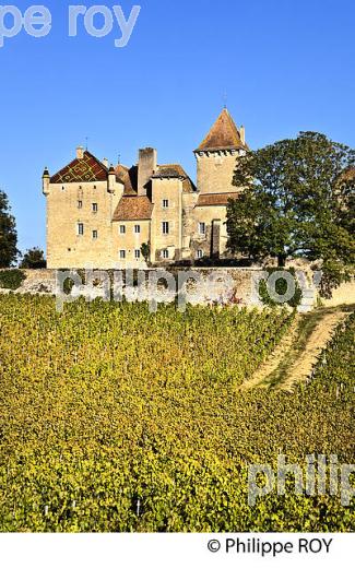 CHATEAU DE PIERRECLOS, ROUTE LAMARTINE,  ET VIGNOBLE DU MACONNAIS, BOURGOGNE. (71F00311.jpg)