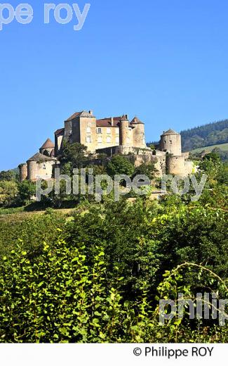 CHATEAU DE BERZE LE CHATEL, ROUTE LAMARTINE, MACONNAIS,  BOURGOGNE. (71F00339.jpg)