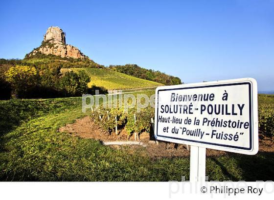 ROCHE DE SOLUTRE ET VIGNOBLE POUILLY FUISSE, ROUTE LAMARTINE, MACONNAIS,  BOURGOGNE. (71F00405.jpg)